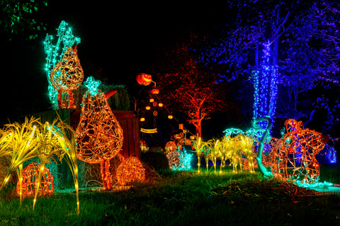 When Should You Begin Decorating for Halloween?