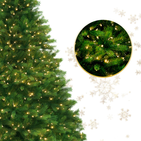 Montauk Fir Supreme Christmas Tree w/LED Lit, Warm White, 7.5'