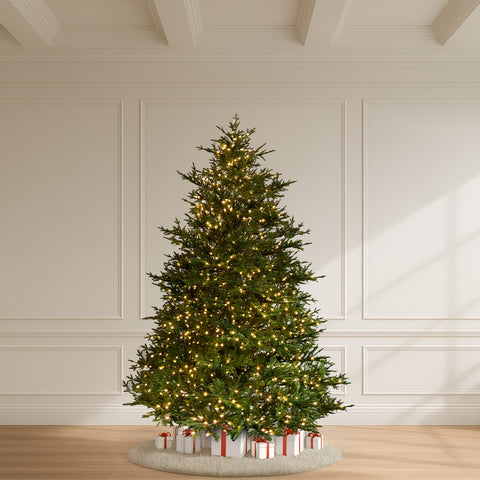 Vail Spruce Tree, LED Lit, 9.5'