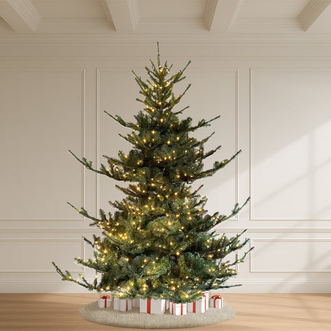 Teton Pine Tree, LED Lit, 10'