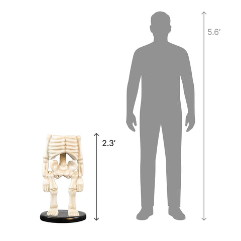 Large Skeleton Body Figure, 28"