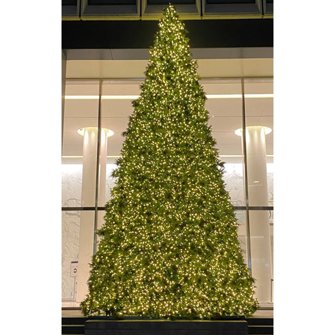 Olympia Pine Artificial Christmas Tower Tree, LED Warm White Pre-Lit (12ft to 60ft)
