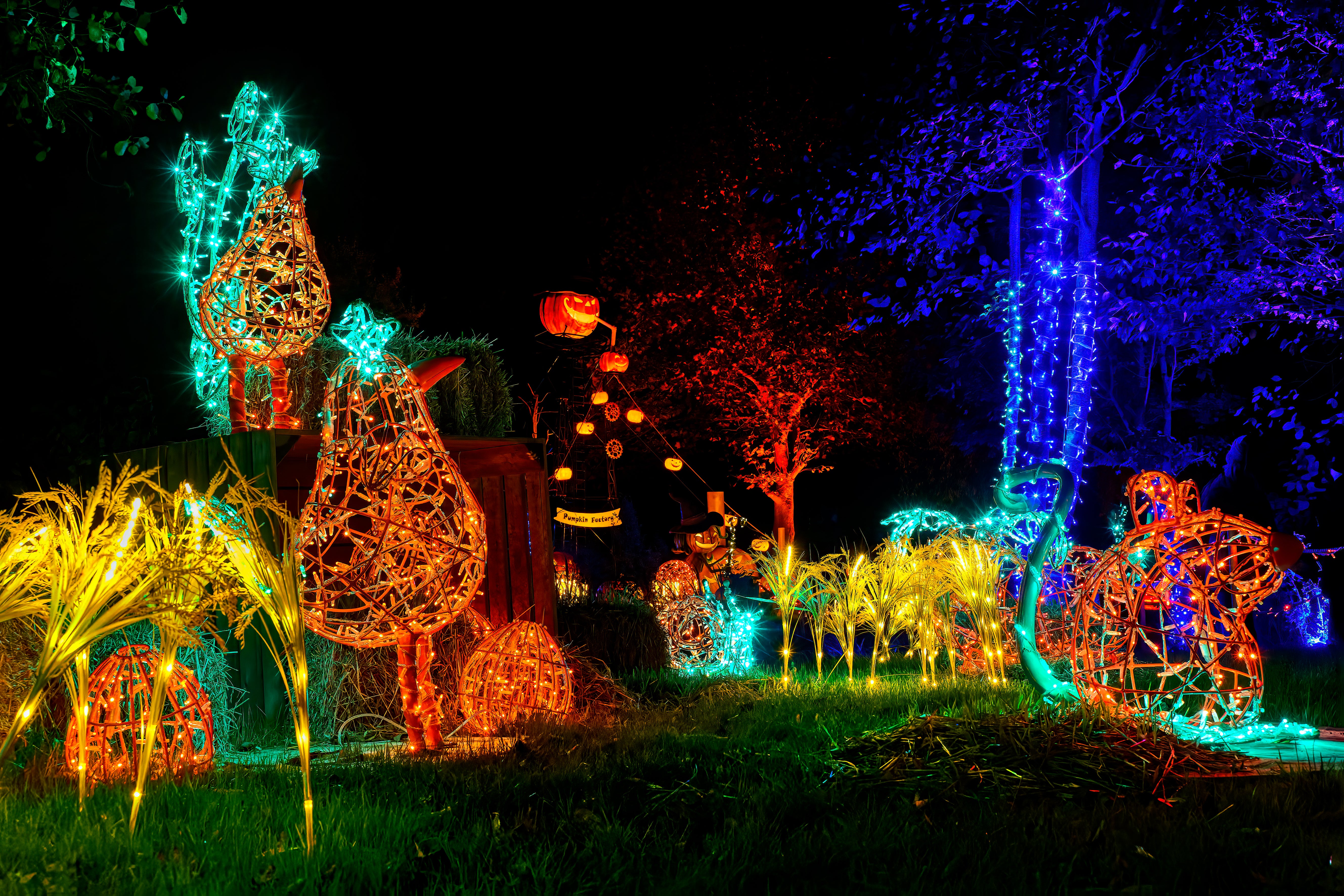 When Should You Begin Decorating for Halloween Christmas In America