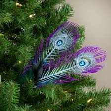 Peacock feathers nestled in a green Christmas tree