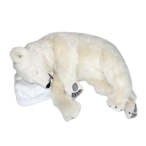 Polar Bear Sleeping on Rock