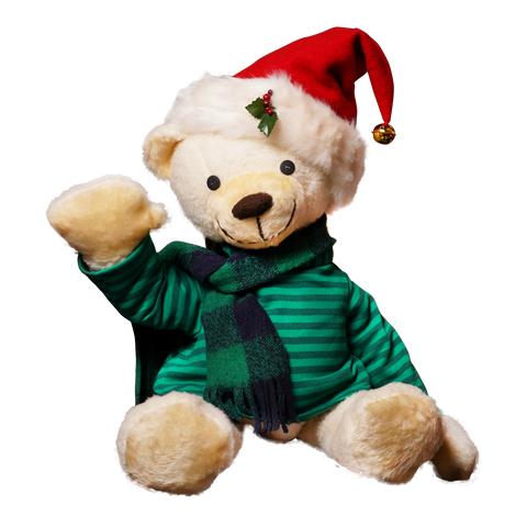 Elfin, the Teddy Bear