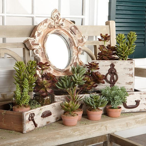 christmas succulent pot K&K Interiors 12352c 5.5 in. Green Succulent