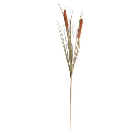 Light Brown Double Cattail Stem, 43"