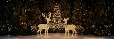35% Off Christmas Lights