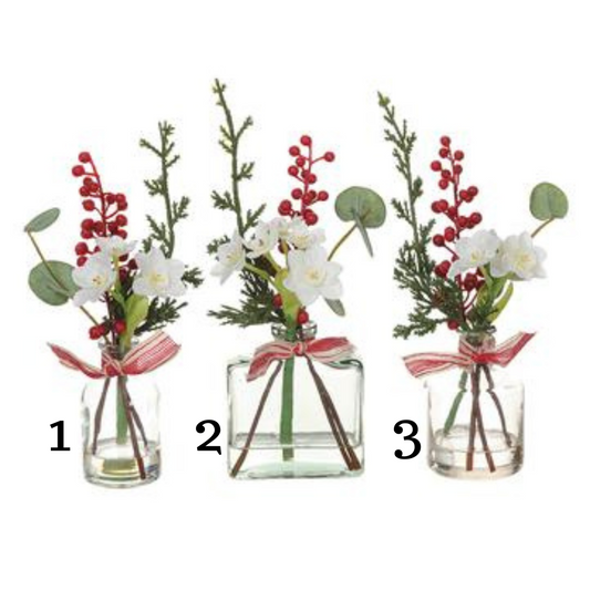 10" Paperwhite/Berry/ Eucalyptus in Glass Vase