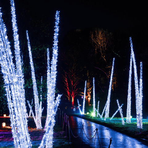 Ice Thorns, LED Lit, 47" to 236"