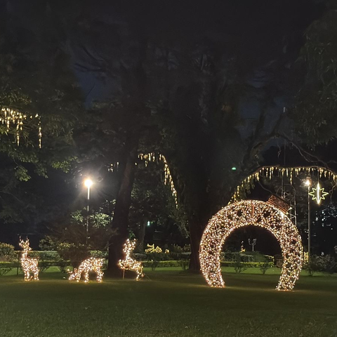 Giant Lighted Ornament Gate, LED Lit (Warm White), 157"