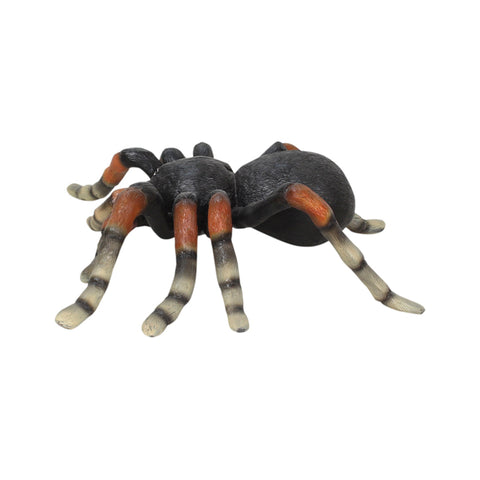 Tarantula