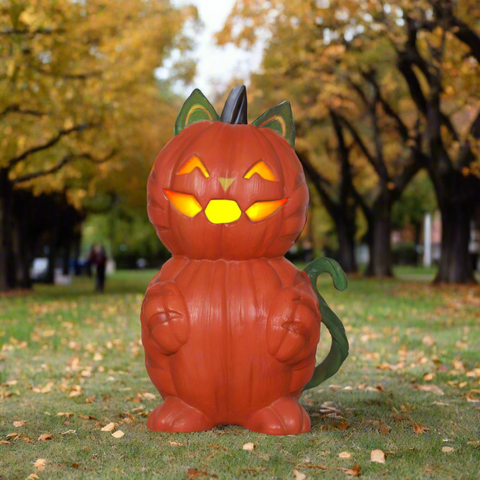 Halloween Decoration Pumpkin cat in the park.