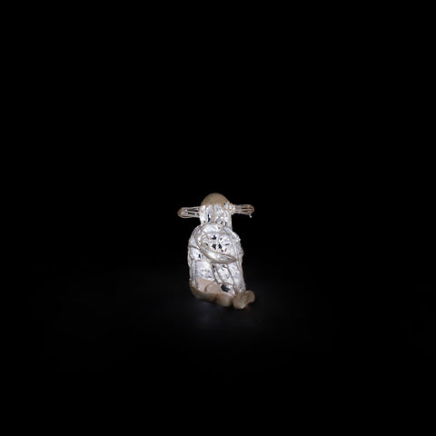 Sheep Baby - Standing