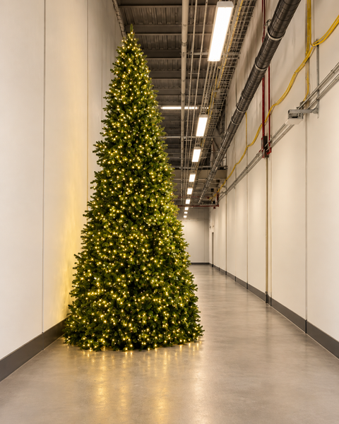 Mixed Pine Pe/Pvc Mini Frame Tree W/ Wiring Harness, 18'