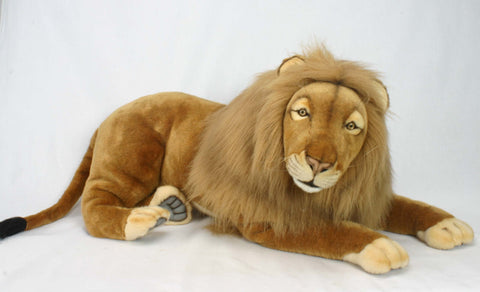 Lion Male 100 cm.L