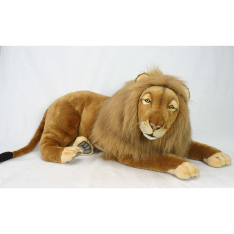 Lion Male 100 cm.L