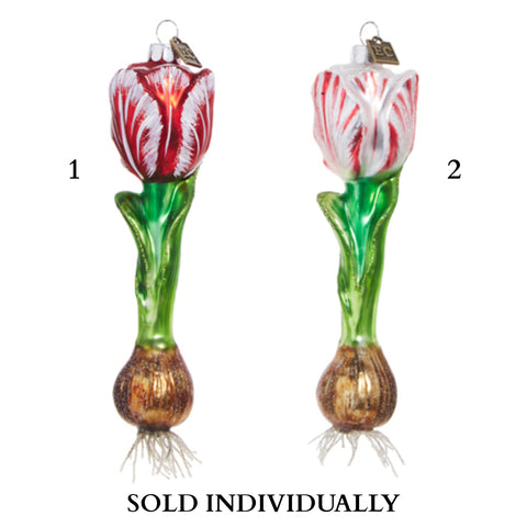 6.5" Tulip Bulb Ornament (2 Styles - Sold individually)