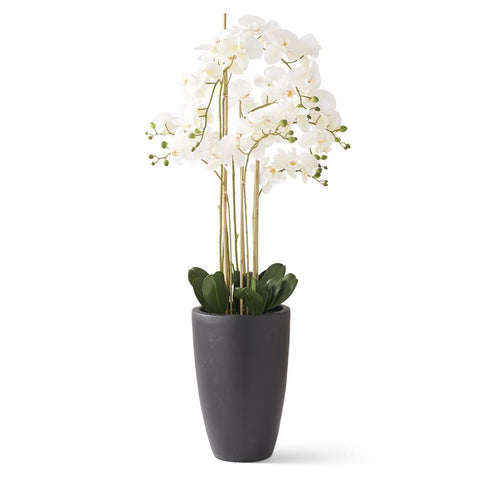 49.5 Inch Real Touch White Phalaenopsis Orchid In Matte Black Pot