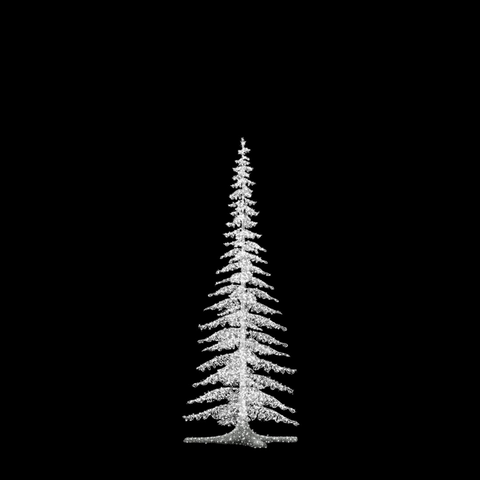 Fir Tree Small