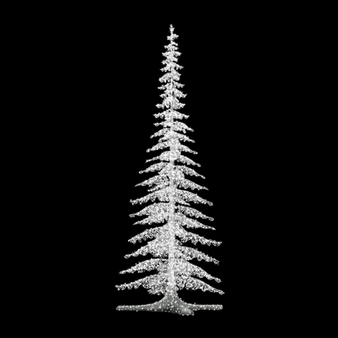 Fir Tree Small