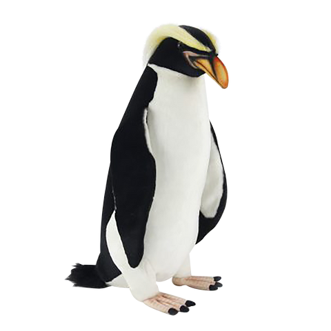 Snares Penguin