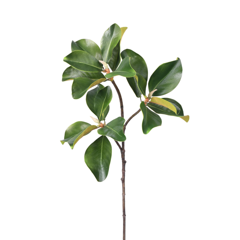 39" Eva Magnolia Leaf Spray X3