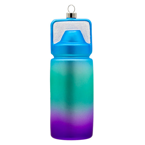 Motivational Water Bottle Glass Ornament