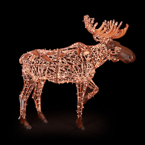 Large Golden White Mr. Moose, LED Lit w/Fiberglass 8'