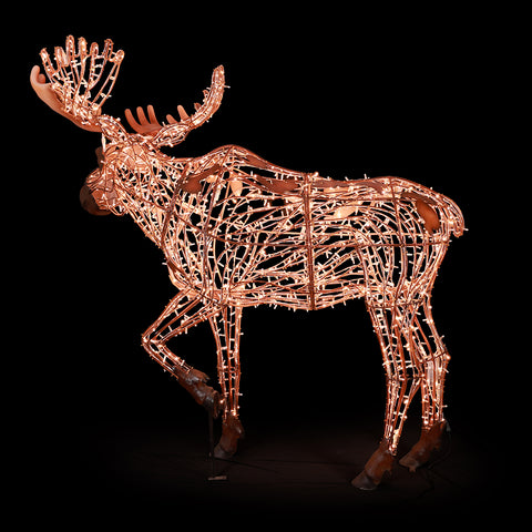 Large Golden White Mr. Moose, LED Lit w/Fiberglass 8'