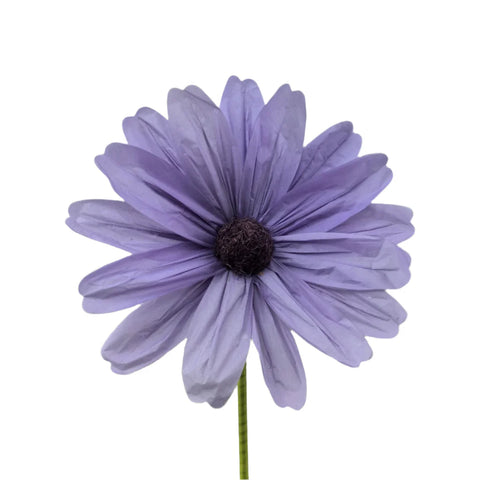 Giant Cosmos Spray, 5' (Lavender)