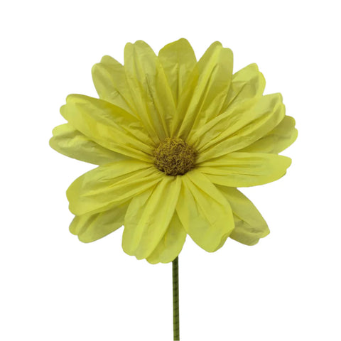 Giant Cosmos Spray, 5' (Yellow)