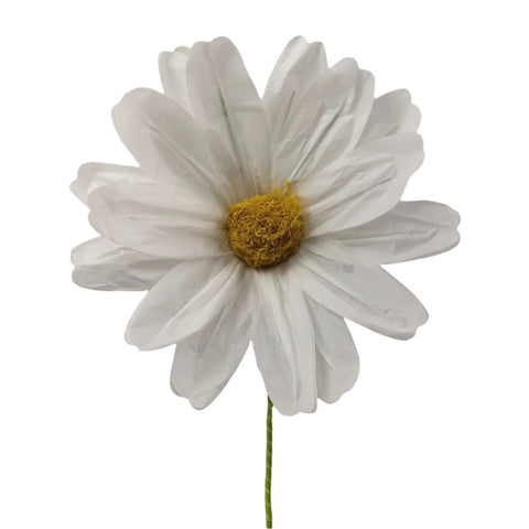Big Cosmos Spray, 43" (White)