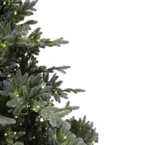 Jackson Fir Tree, LED Lit, 6.5'