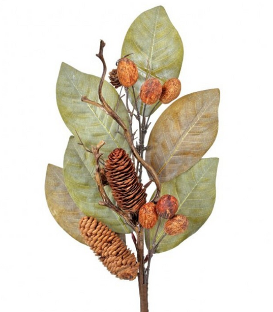 25" Dried Magnolia Leaf Spray w/Nuts & Pinecones
