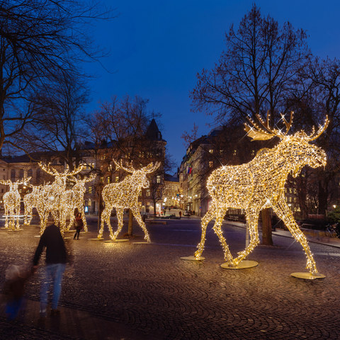 Giant Henry the Moose Figure, LED Lit w/Fiberglass (White / Warm White), 205"