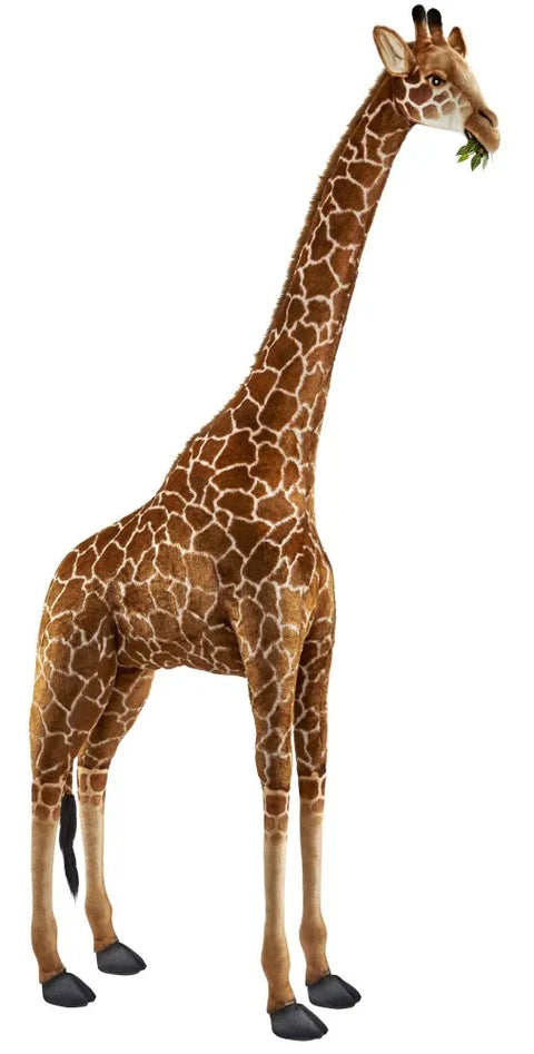 Giraffe 240cm