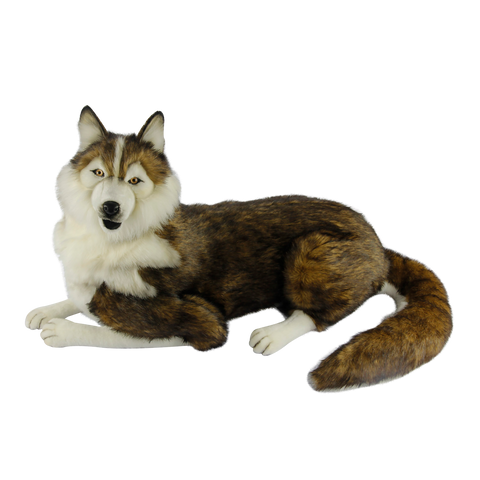 Husky Laying, Outdoor Safe (55cm / 3ft 3in)