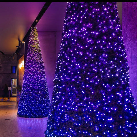 Twinkly Pro-MAX Cone Tree, 16-Foot-Tall, RGB LEDs, Green Foliage