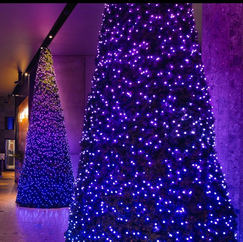 Twinkly Pro-MAX Cone Tree, 12-Foot-Tall, RGB LEDs, Green Foliage