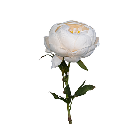 Peony Spray, Ivory, 24"