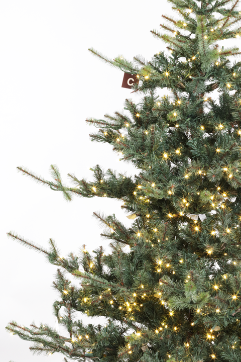 Teton Pine Tree, LED Lit, 6.5'
