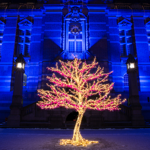 Large Paradise Tree, LED Lit (Warm White), 11.5ft