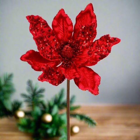 christmas flower in red color