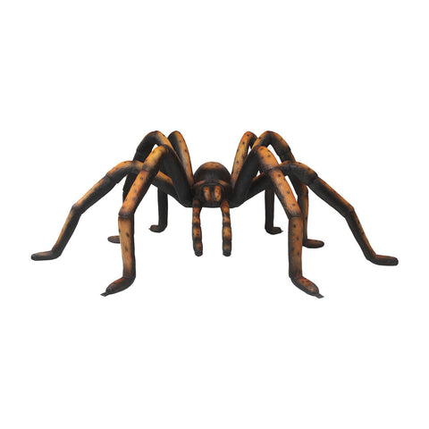 Recluse Spider