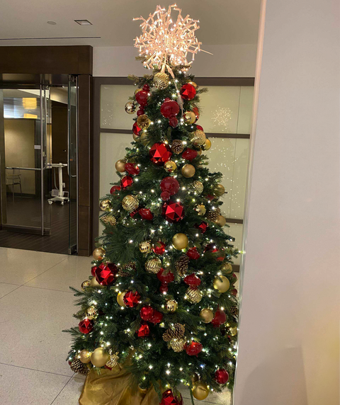 Pre-Owned Red & Gold Decorated Tree and Wreath Package