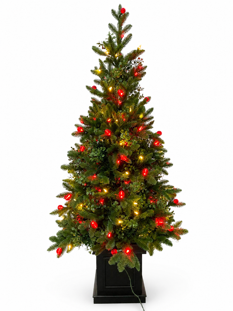 Oregon Mixed Pine Table Top Tree, Lit (Red / Warm White), 4.5'