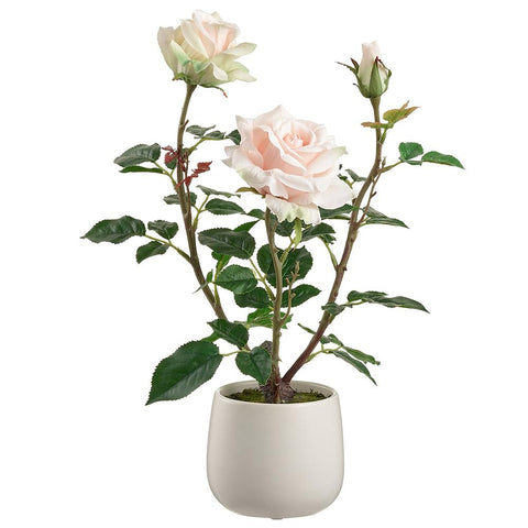 Pink Rose in Ceramic Vase, 16.1"