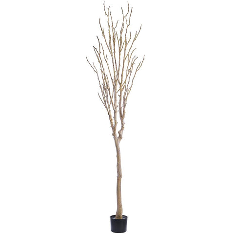Twig Tree in Plastic Pot, 10' (Gray Brown)